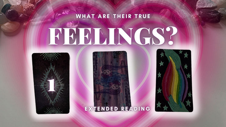 (GROUP 1) WHAT ARE THEIR TRUE FEELINGS? 💓